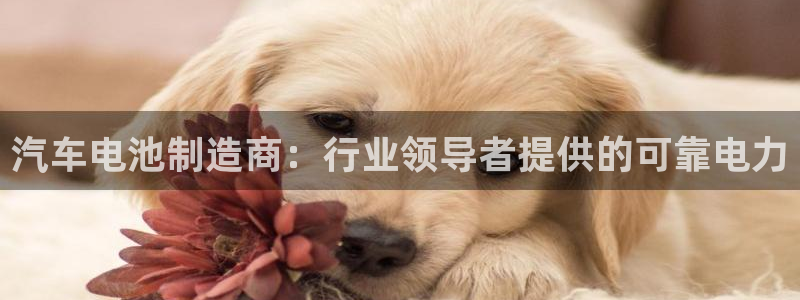 优发国际网官网址是多少