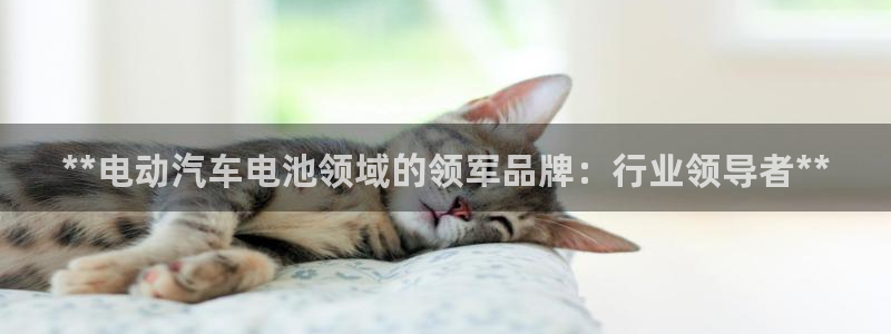 优发国际是大平台吗