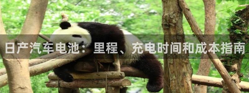优发国际手机版网站官网