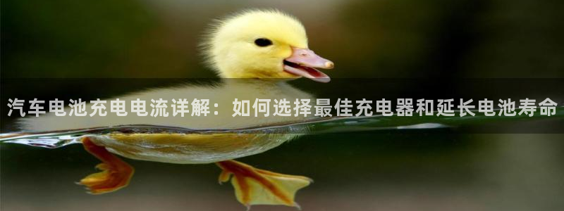 优发国际登陆