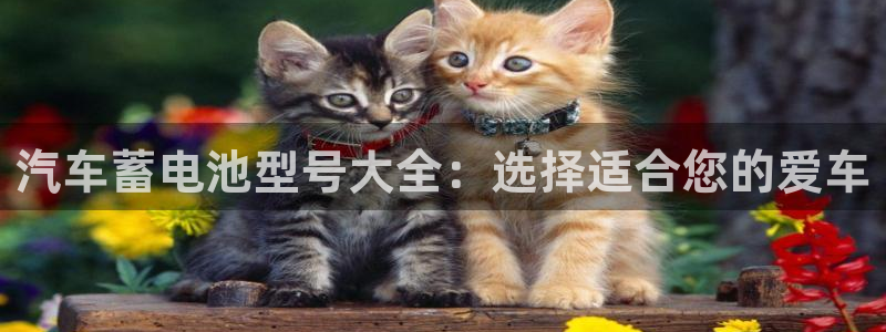 优发国际合并到哪里了最新消息