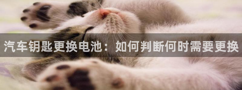 优发国际手机客户端下载安装苹果