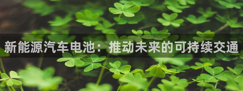优发国际游戏官方网站