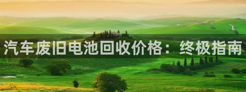 优发国际是大平台吗
