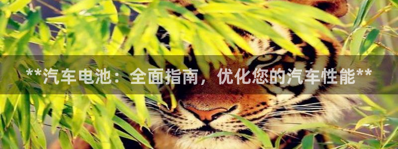 优发国际一首页