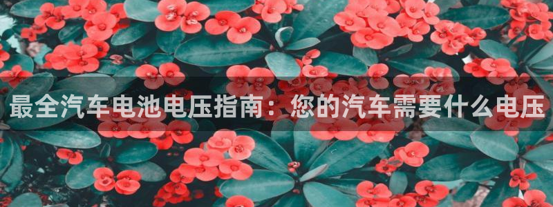 优发国际网站178