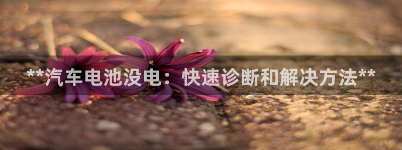 优发国际官方网手机版app