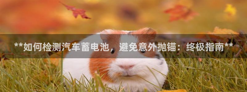 优发国际官网登录