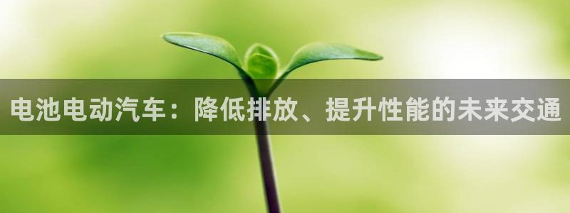 优发国际vip网址