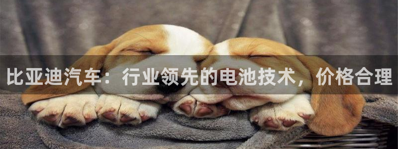 优发国际youfa