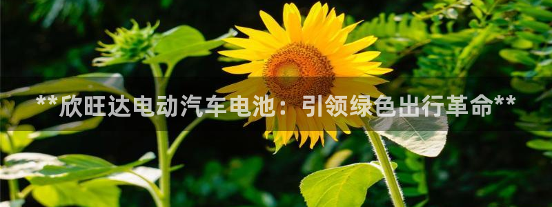 优发国际是什么