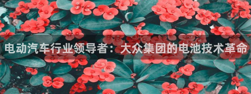 优发国际平台手机版下载