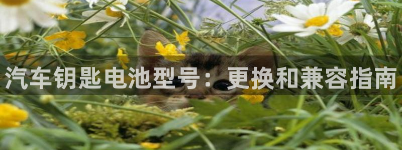 优发国际提现不了
