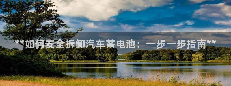 优发国际平台g80