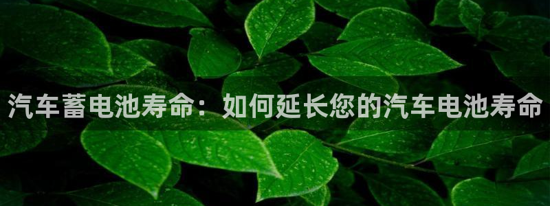 优发国际是大平台吗是真的吗