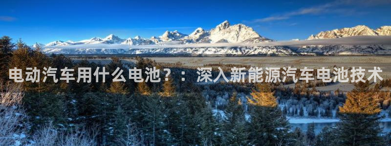 优发国际平台app下载安装
