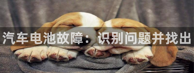 优发国际网官网17q8