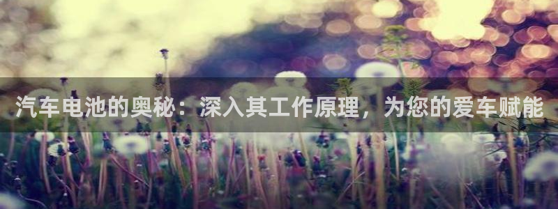 优发国际平台u8是什么公司