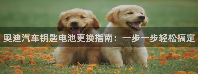 优发国际官网值是多少