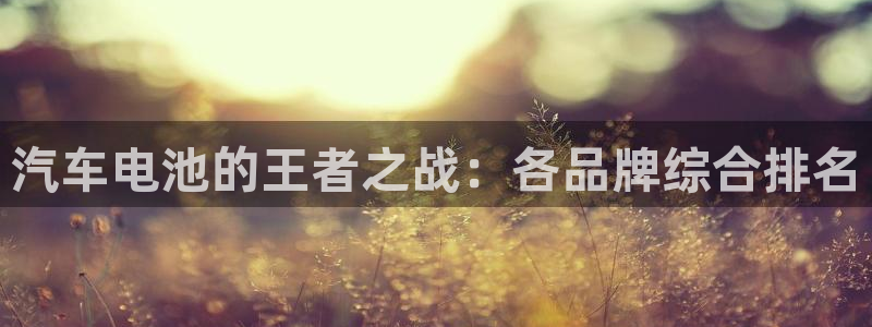 优发国际网官网17k8
