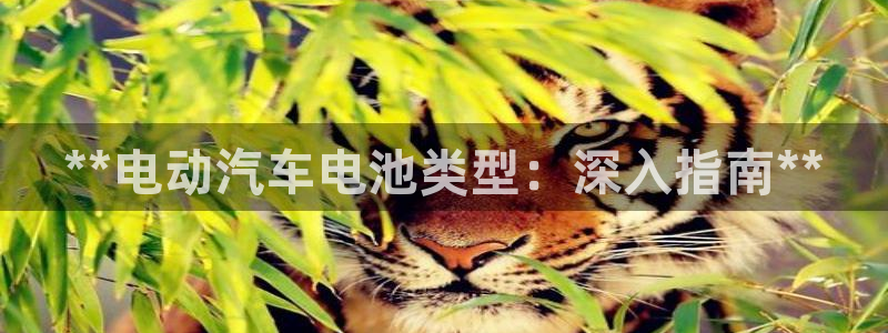 优发国际游戏17岁能玩吗