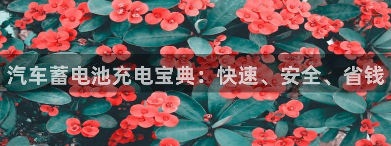 优发娱乐官网地址