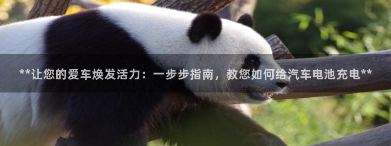 优发国际手机客户端下载官网