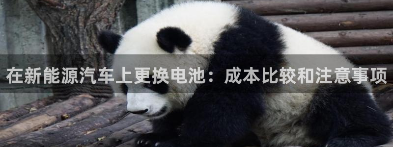 优发国际集团股份有限公司是国企吗：在新能源汽车上更换电池：成本比较和注意事项