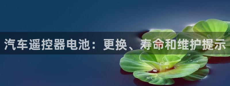 优发国际平台手机版下载
