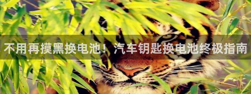 优发国际手机版客户端