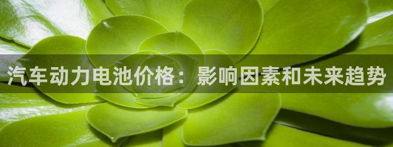 优发国际安卓版下载安装最新版：汽车动力电池价格：影响因素和未来趋势
