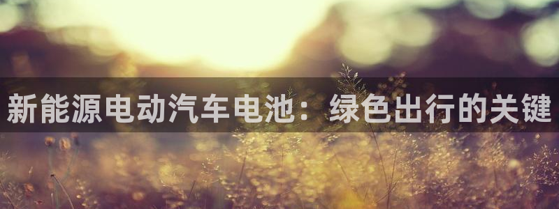 优发国际官网下载手机版：新能源电动汽车电池：绿色出行的关键