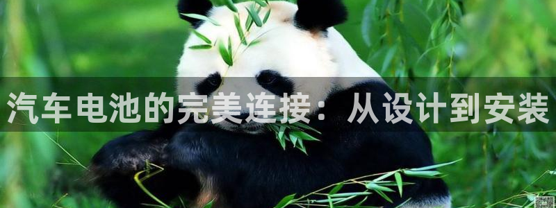 优发国际平台app下载官网