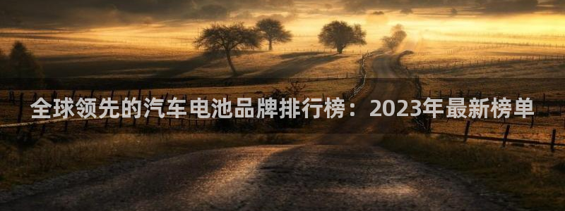 优发国际官网手机版代理：全球领先的汽车电池品牌排行榜：2023年最新榜单