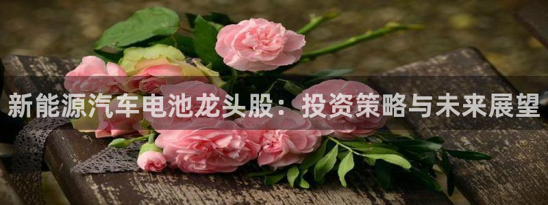 优发国际一首页：新能源汽车电池龙头股：投资策略与未来展望