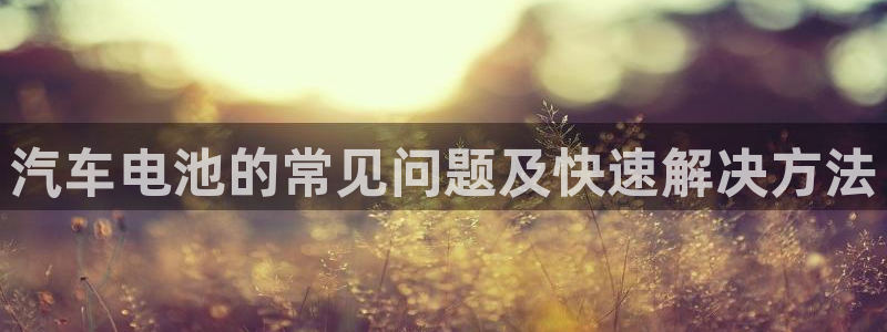 u优发国际首页：汽车电池的常见问题及快速解决方法