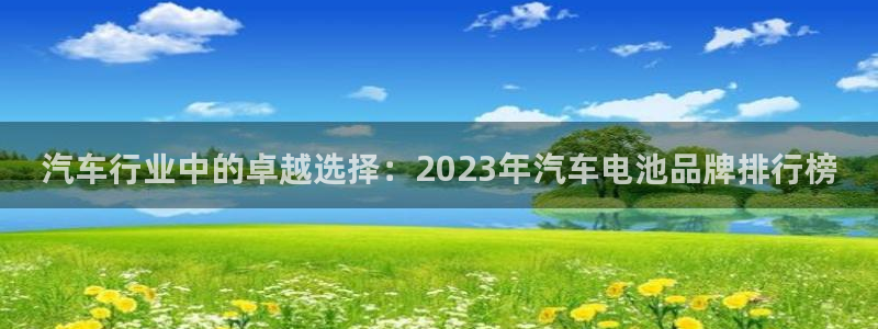 优发国际官网值是多少：汽车行业中的卓越选择：2023年汽车电池品牌排行榜
