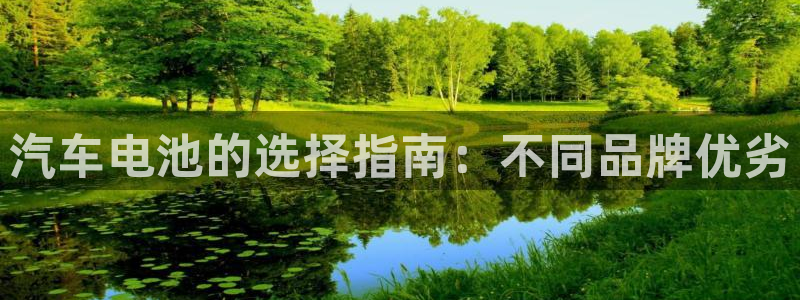 优发国际怎么样：汽车电池的选择指南：不同品牌优劣