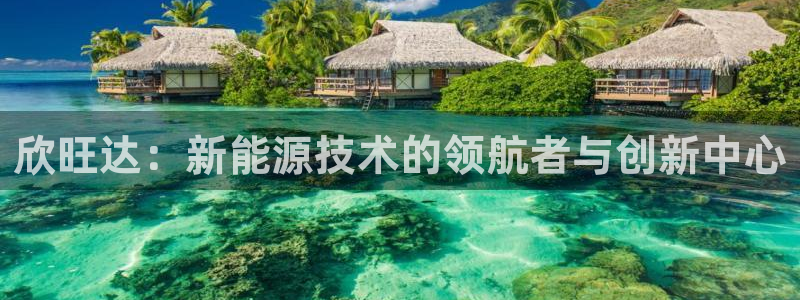 优发国际官网官方网址：欣旺达：新能源技术的领航者与创新中心