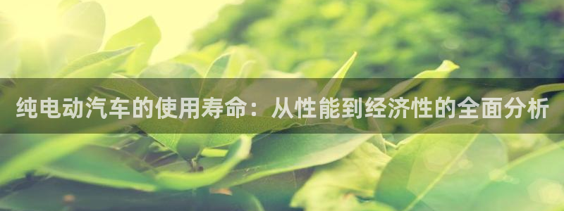 优发国际手机版客户端下载：纯电动汽车的使用寿命：从性能到经济性的全面分析