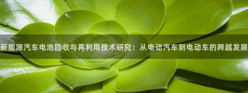 优发国际官网手机号：新能源汽车电池回收与再利用技术研究：从电动汽车到电动车的跨越发展