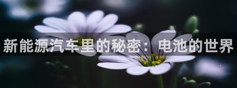 优发国际app登录不了：新能源汽车里的秘密：电池的世界