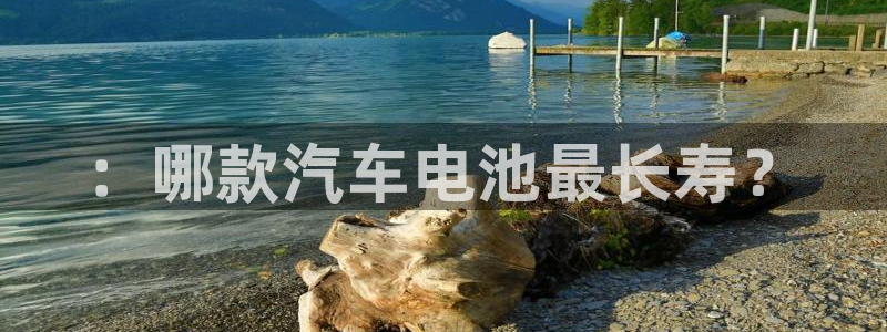 优发国际网站官网：：哪款汽车电池最长寿？