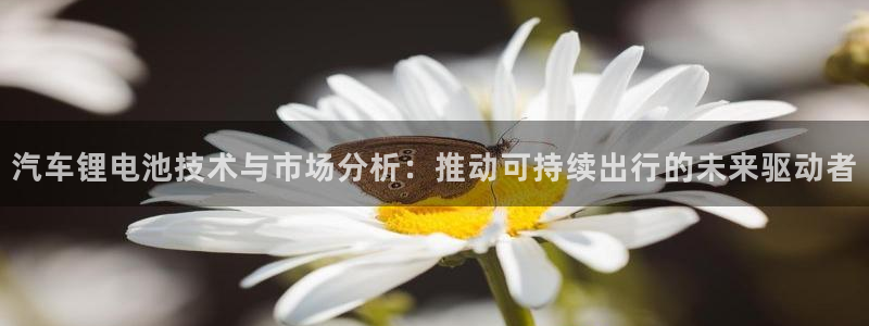 优发国际官网网站首页：汽车锂电池技术与市场分析：推动可持续出行的未来驱动者