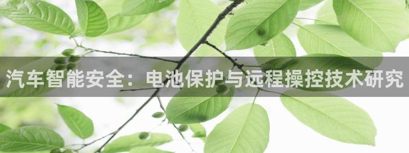 优发国际官网手机号：汽车智能安全：电池保护与远程操控技术研究