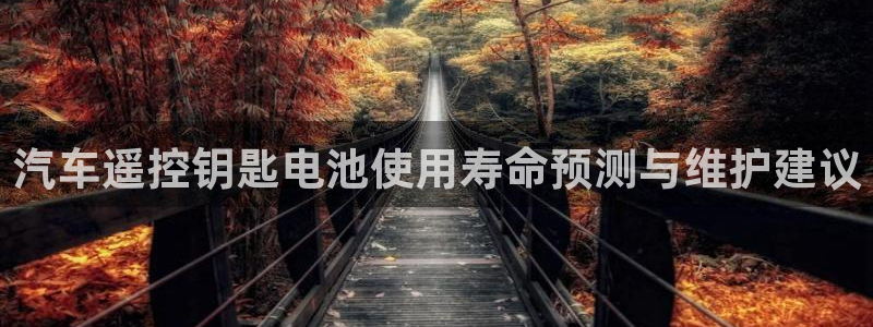 优发国际手机app下载安装：汽车遥控钥匙电池使用寿命预测与维护建议