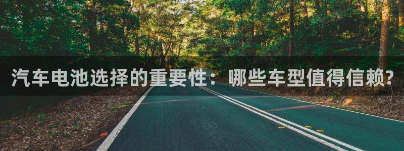 优发国际官方网手机版app：汽车电池选择的重要性：哪些车型值得信赖?