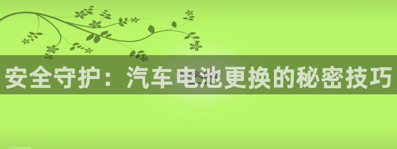 优发国际vip网址：安全守护：汽车电池更换的秘密技巧