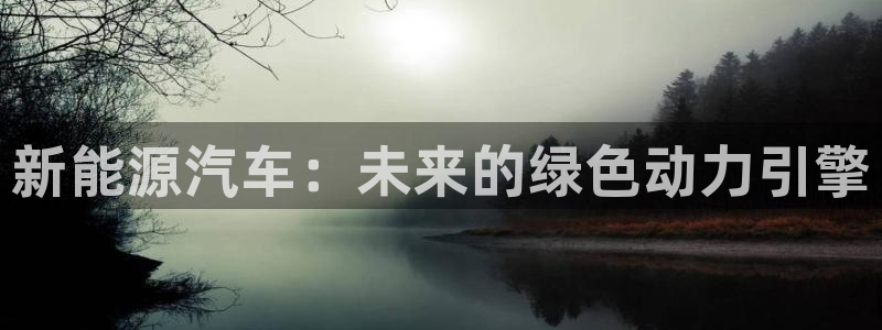 优发国际游戏17岁能玩吗：新能源汽车：未来的绿色动力引擎