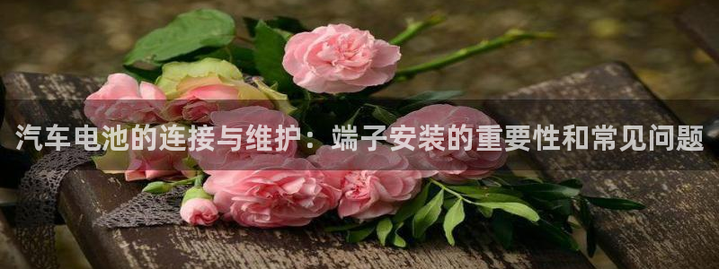 优发娱乐官网app下载：汽车电池的连接与维护：端子安装的重要性和常见问题